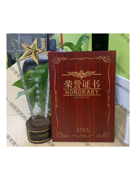聯(lián)通（廣東）“2019年度優(yōu)秀合作伙伴”
