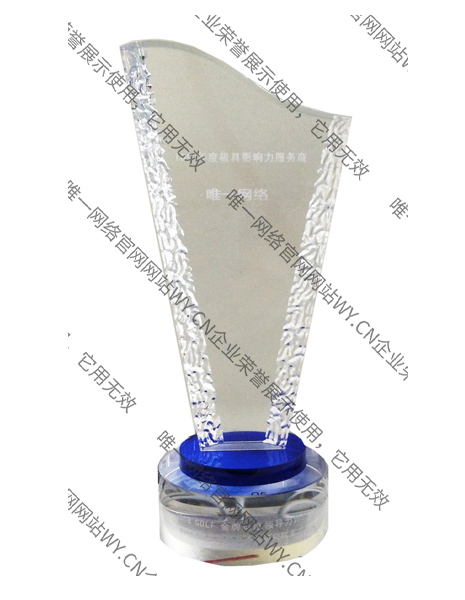 IDC年度極具影響力服務(wù)商