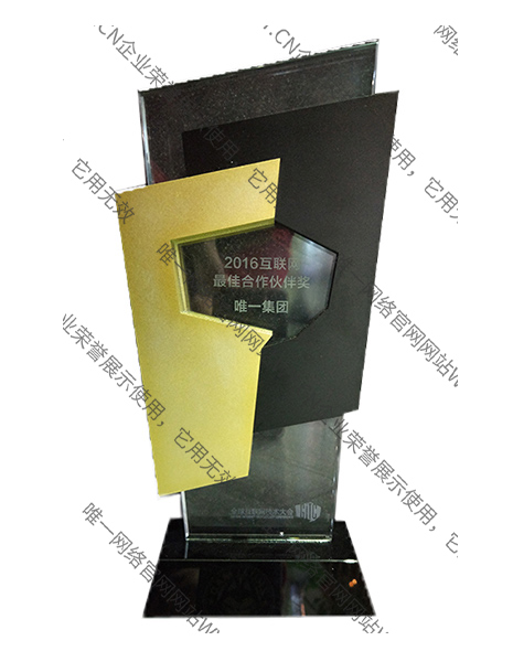 2016年互聯(lián)網(wǎng)最佳合作伙伴獎(jiǎng)