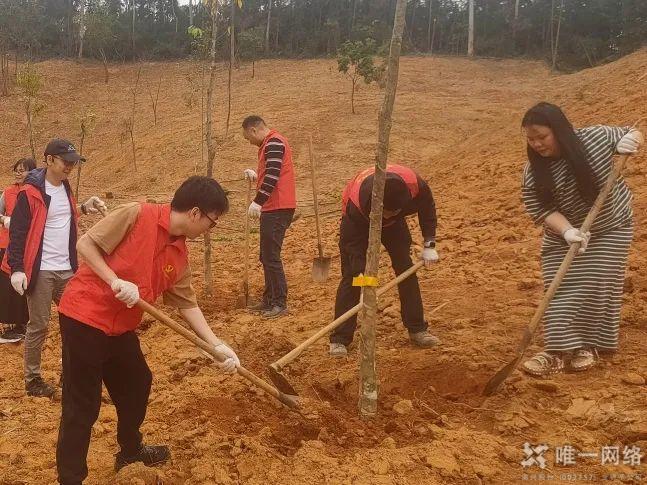 黨建紅賦能生態(tài)綠：唯一網(wǎng)絡(luò)攜手共建綠美東莞植樹主題黨日活動(dòng)